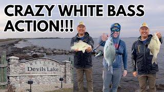 White Bass Fishing - Devils Lake, North Dakota - May 2024 (Nuv Ntses)