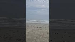 Video of Port Aransas Permit Beach, TX from mark F.