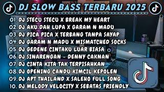 DJ SLOWBASS TERBARU 2025 || DJ STECU STECU X BREAK MY HEART || DJ AKU DAH LUPA X GARAM N MADU VIRAL