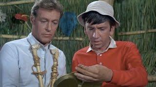 Gilligan's Island / The Professor -  Bearer of Good News & Bad News