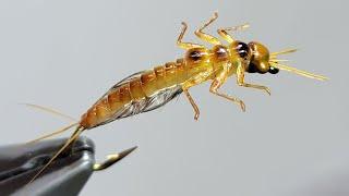 The Fly That Could Save Your Fishing Trip - The Burrowing Mayfly