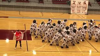 Hallsville high school Belles dance routine in cow costume