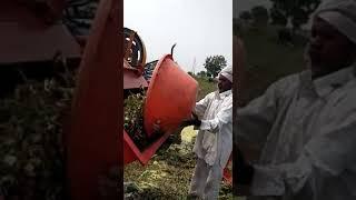 Guru Hindustan Groundnut Cum Multicrop Thresher