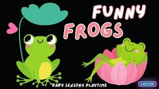 FUNNY FROGS - Kids Video