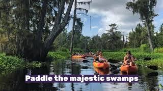 New Orleans Kayak & Swamp Tour