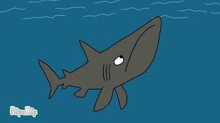 basking shark, the bloop