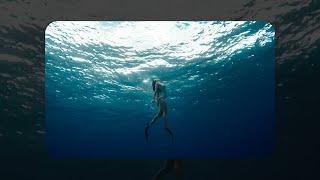 Melodic EDM Playlist | Chill EDM Songs 2023