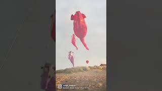 Under The Sea kites flying on the Lincolnshire coast.  #kites #nemo #seahorse #crab #whaleshark