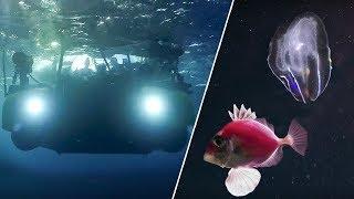 The Amazing Underwater Cinematography of Blue Planet II | Our Blue Planet | BBC Earth Explore