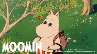 The Wreck & The Moomins Discover the Island | Moomin 90s | DOUBLE FULL EPISODE