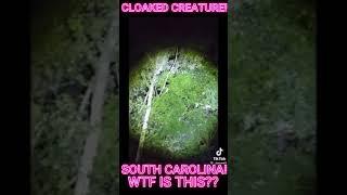 MYSTERY CREATURE Ripping down TREE LIMBS in South Carolina!