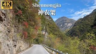 Driving on rural roads in the heart of Shenlongjia - Hubei Province, China - 4K