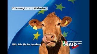 Das Versagen der EU in der "Milchkrise"