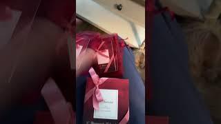 Sneak Peak! Aurora par Charles Wong L’Appartement de Madame de Florian