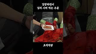 창조 손해