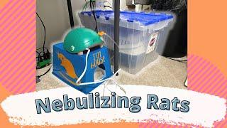 How I Nebulize the Rats, DIY Nebulizer Saline, & Easy Nebulizer Chamber