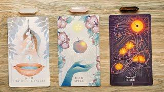 GET READY FOR SOME GOOD NEWS!  Pick A Card  Timeless Tarot Reading