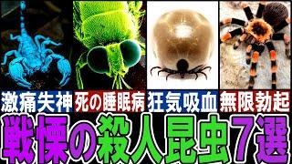 【閲覧注意】最恐最悪の殺人昆虫７選【ゆっくり解説】【動物おもしろ雑学】