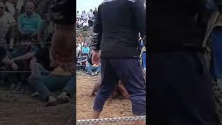 #kushti - Sukha Rajasthan vs Rohit Hamirpur