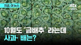 10월에도 '금배추' 라는데...사과·배는?｜지금 이 뉴스