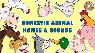 Domestic Animal Homes & Sounds | Educational Rhymes | Nursery Rhymes for Children