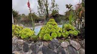 Papallacta Hot Springs, Ecuador