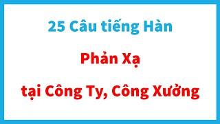25 Câu Tiếng Hàn "Phản Xạ" Tại Cty, Công Xưởng. Rất Thiết Thực!