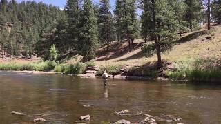 Dick Ruesenberg in Colorado