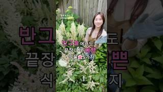 반그늘도 문제없어요!최저가 공동구매꼭보고가세요