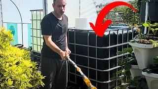 20 Genius Rainwater Hacks Every Gardener Must Know (Beginners to Pros!)