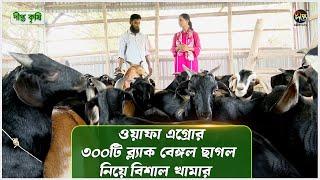 Deepto Krishi | ব্ল্যাক বেঙ্গল জাতের ছাগল যেসব কারণে অনন্য | Black Bengal Goat | Goat Farming | 1557