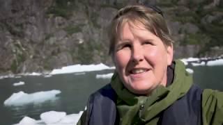 Windstar Cruises Alaska Cruise - We Do It Best