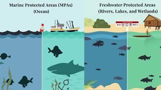 How to Establish and Manage Fish Conservation Zones