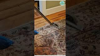 Area Rug Cleaning  Pet odor Removal - Springfield NJ