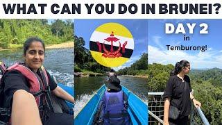 What can you DO in BRUNEI ?? Day 2 at Temburong!