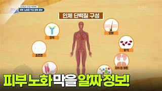 [굿모닝! 건강 브런치] 피부 노화를 막을 알짜 정보 [생방송 굿모닝 대한민국] | KBS 250621 방송