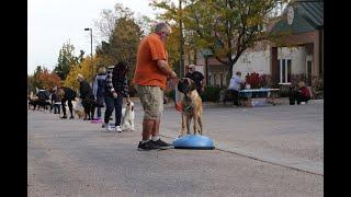 Eric Salas Colorado Dog Training Workshop