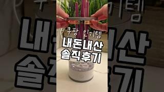 쿠팡인기템 내돈내산 솔직후기