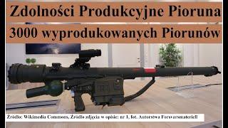 Zdolności produkcyjne polskiego Pioruna - 3000 wyprodukowanych Piorunów