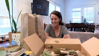 Unboxing some Opuntias from a fellow cactus lover - Ana from Cactus Caffeine!