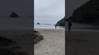 College Cove Beach is a real gem in Trinidad, California#shorts #viral