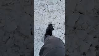  Canada Telugu Vlogs 