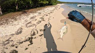 Incoming High Tide Shore Casting at Mon Choisy... Fishing Beach Mauritius 2023