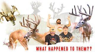 TOP 5 BUCKS THAT GOT AWAY!! 200"+ SUBURBAN Whitetails (Untold Stories)