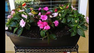 Container Gardening Made Easy...You Will Love It in Your Garden. Here is a Complete Demonstration