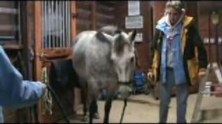 Mike Stine - Equine Dynamics Demo part three