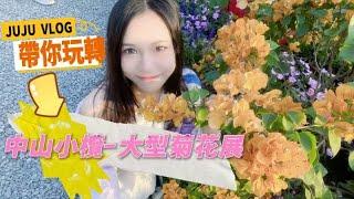 JuJu‘s vlog|JUJU今日帶你萬轉大灣區之中山站-小欖菊花展#大灣區 #小欖 #中山