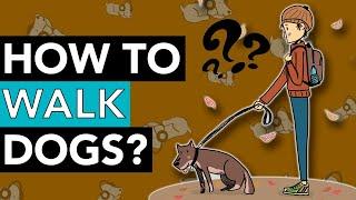 Do You Have to Walk Your Dog? Dog Walking Tips!