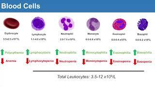 Introduction to Clinical Lab Values: Blood Cells and Electrolytes