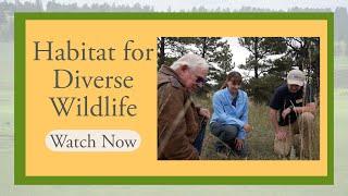 Conservation for the Future: Habitat for Diverse Wildlife, Powder River County, MT.